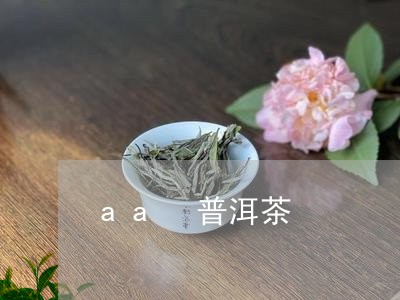 aa 普洱茶/2023042822920